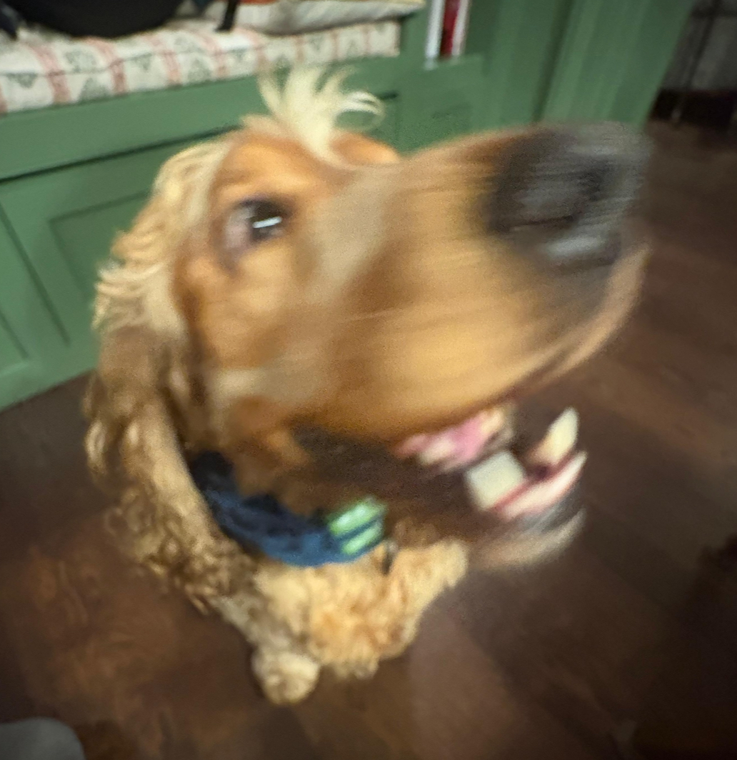 A really aesthetic creek